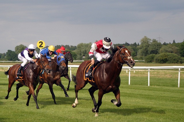 Betting Psychology